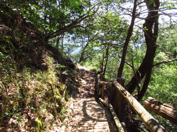 登山道